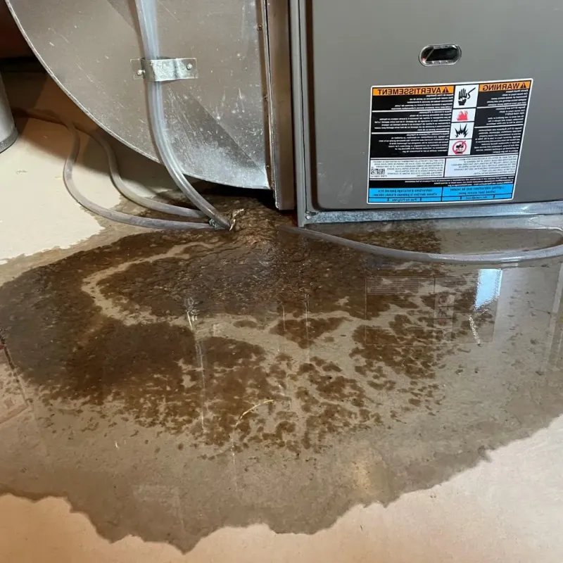 Pipe Burst and Leak Restoration in Gurabo Municipio, PR